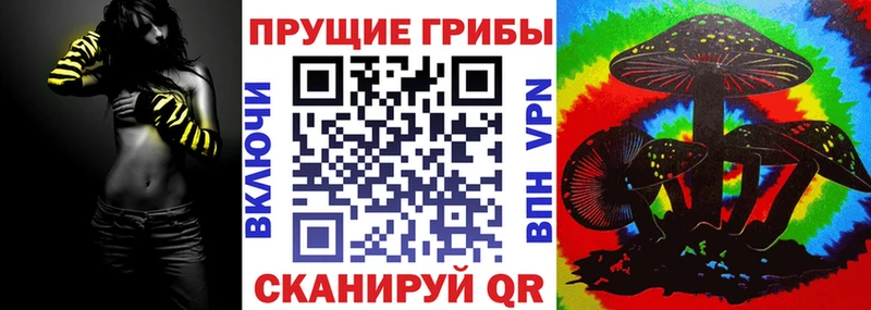 Псилоцибиновые грибы Magic Shrooms darknet какой сайт Канаш