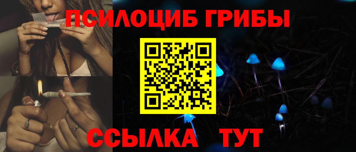 Псилоцибиновые грибы мицелий Канаш